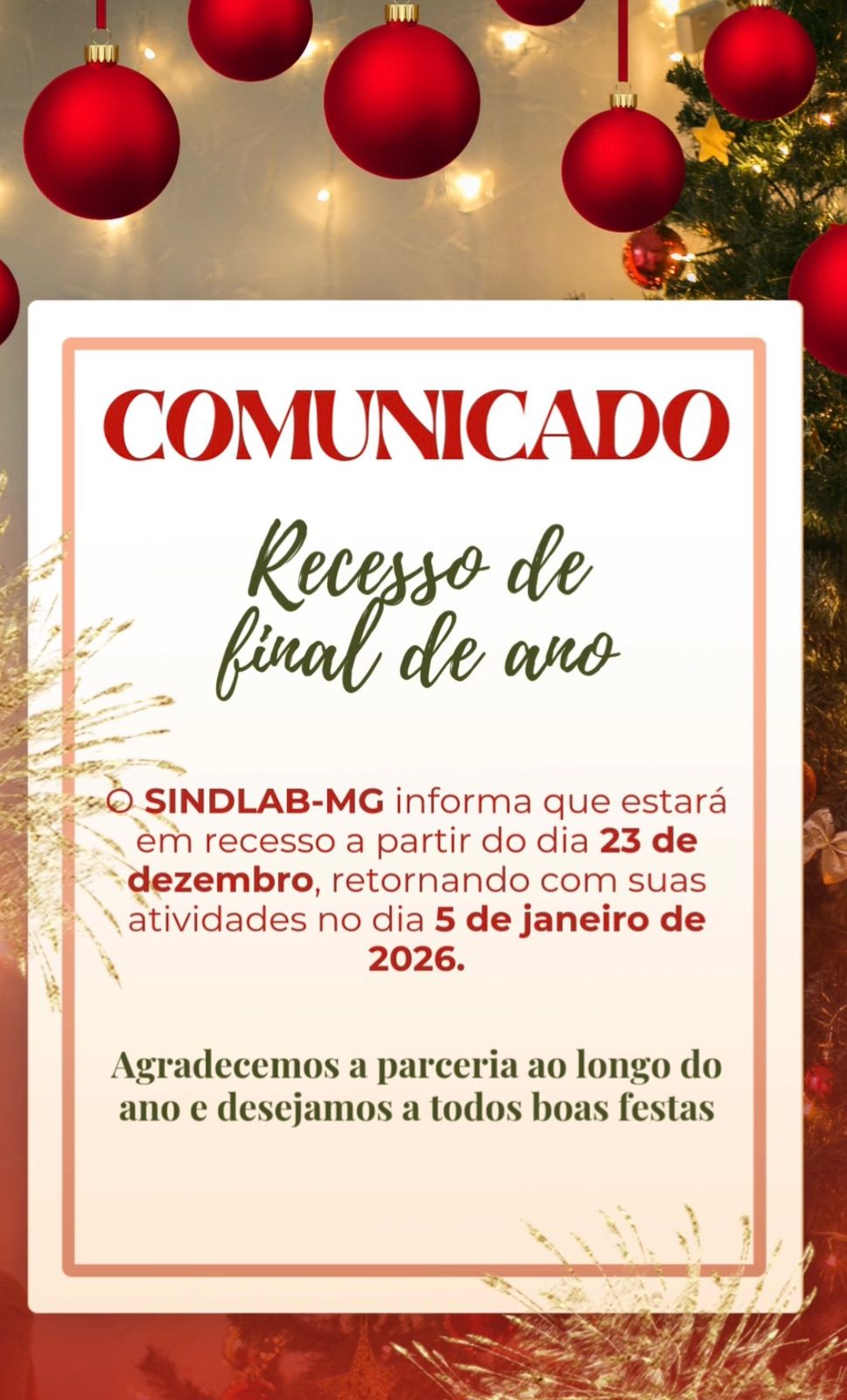 WhatsApp Image 2025-12-22 at 17.09.32.jpeg